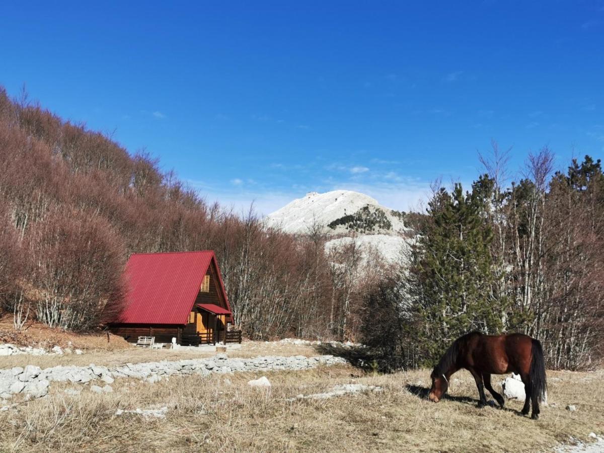 Breeze Home Cottage Cetinje Exterior photo